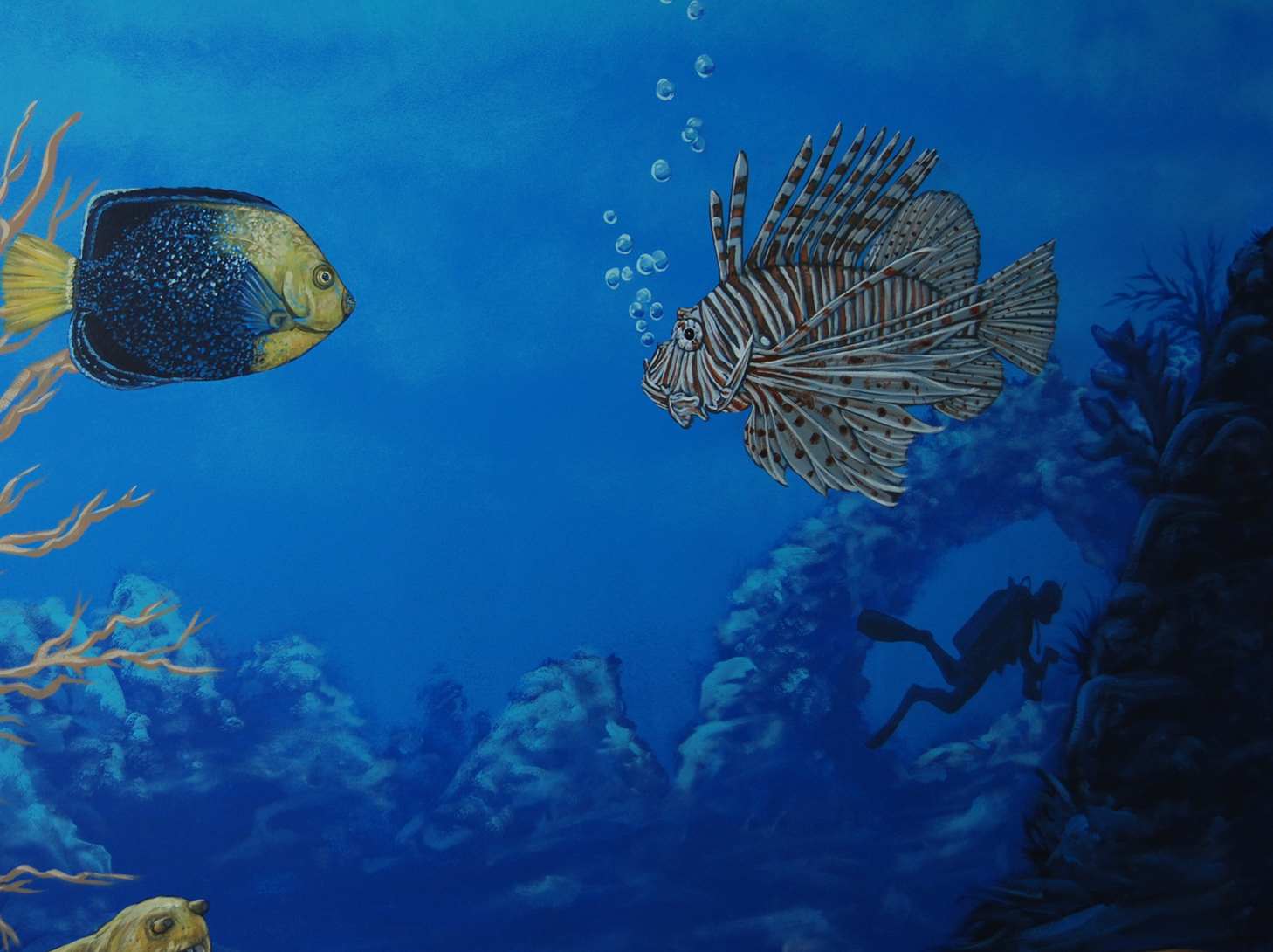 Coral Reef Dive Site Mural 24