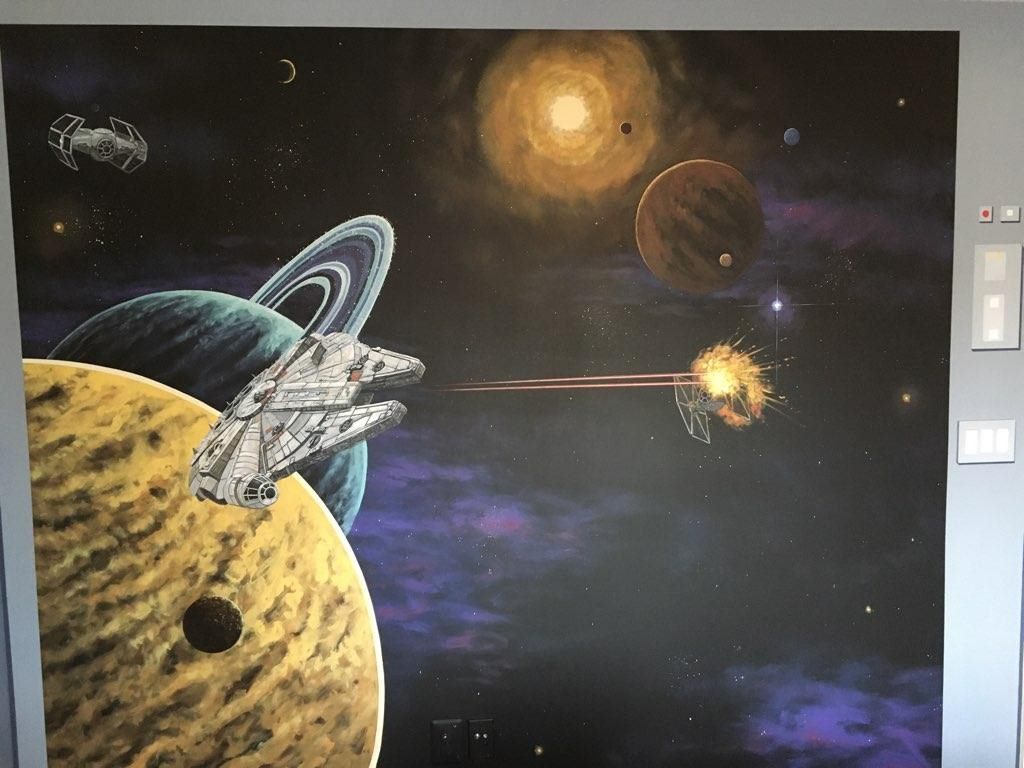 Star Wars Ship Mural 18
