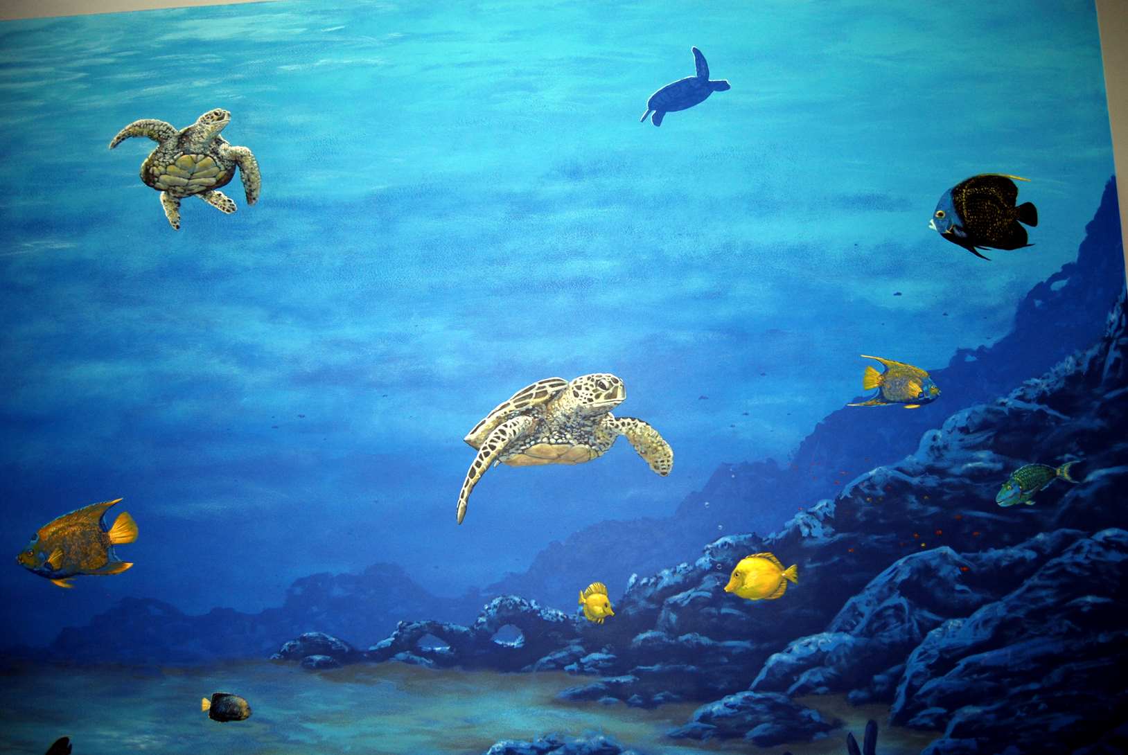 Under The Sea Mural 10
