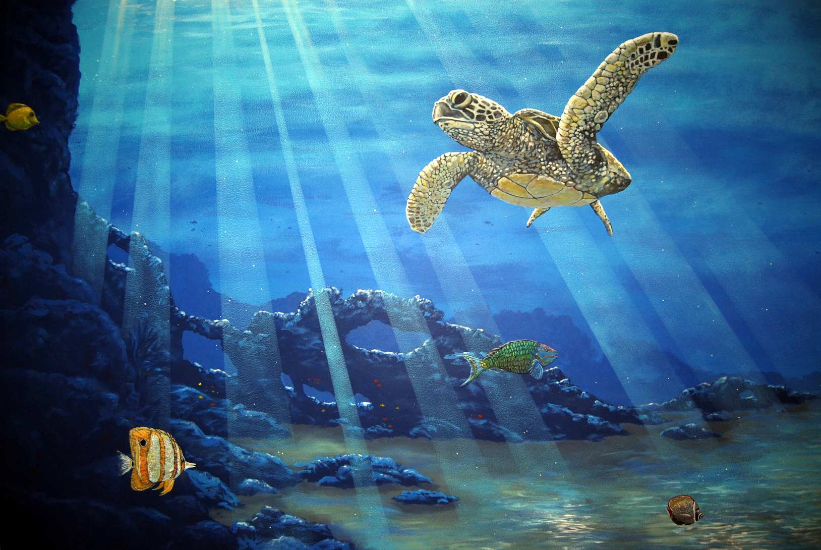 Under The Sea Mural 11