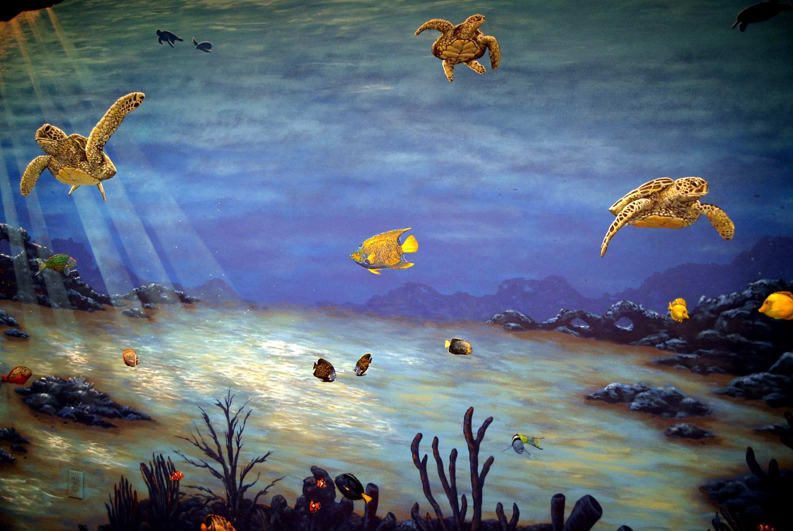 Under The Sea Mural 14