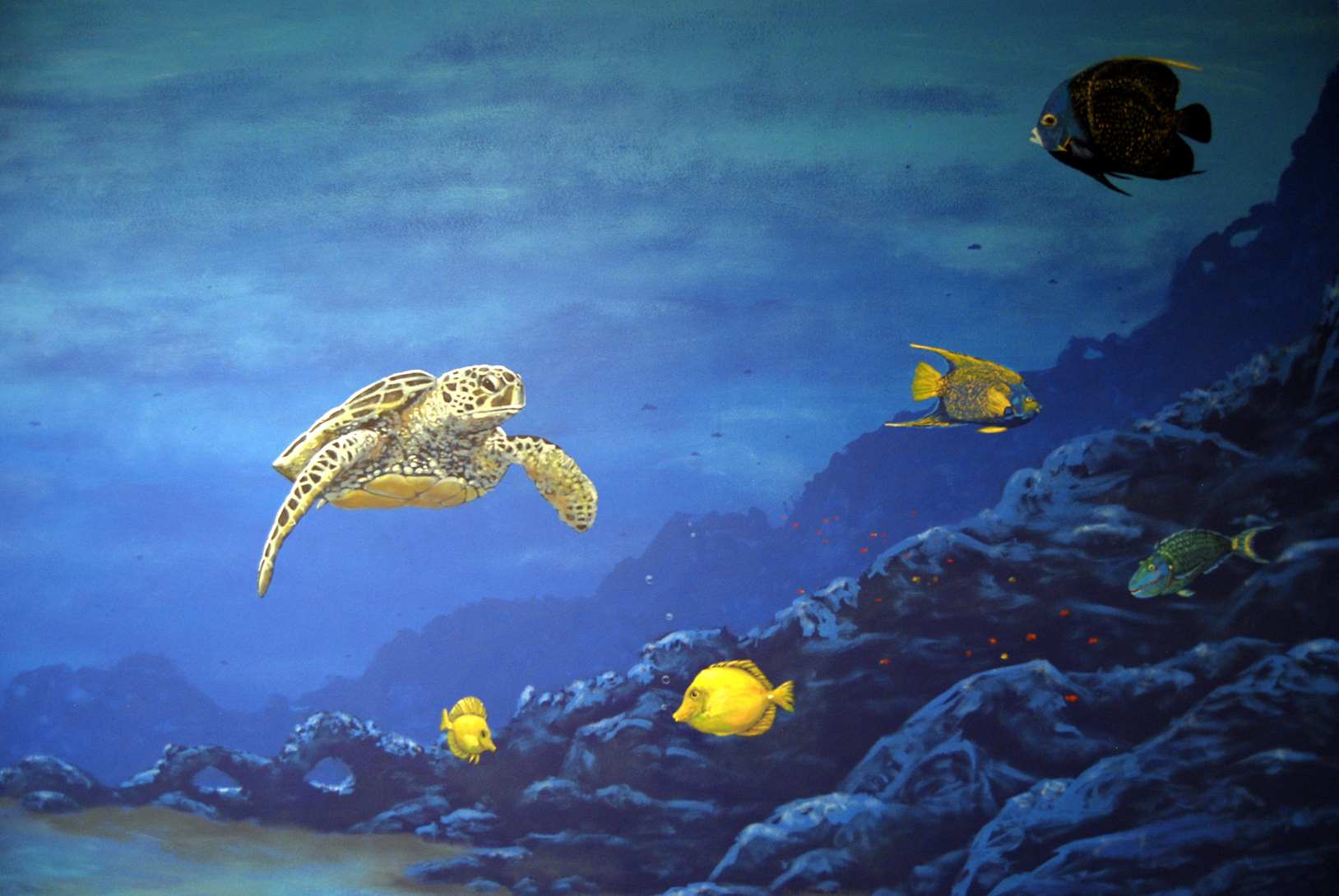 Under The Sea Mural 3