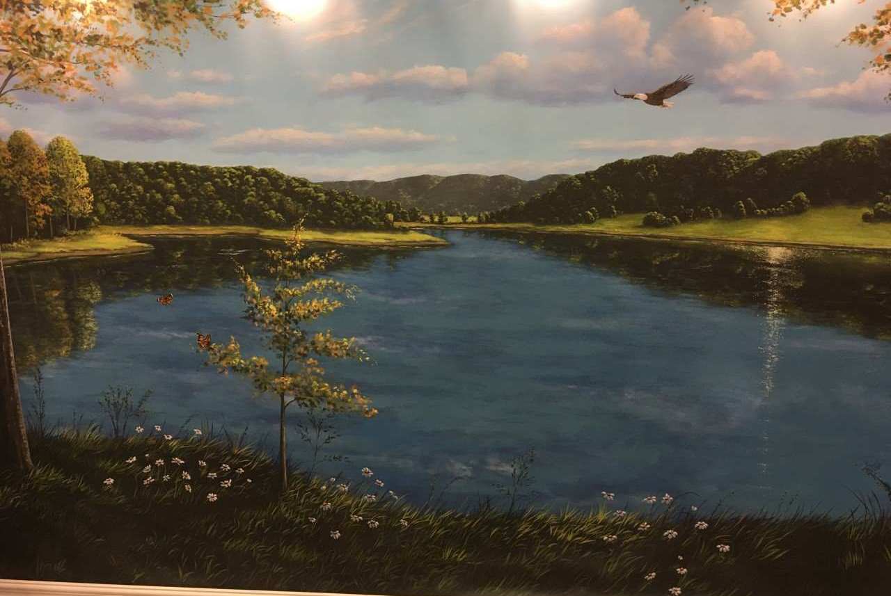 Virginia-Lake-Mural-1.jpg
